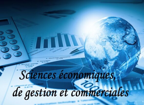 master Sciences Economiques et de Gestion iseig sup cameroun